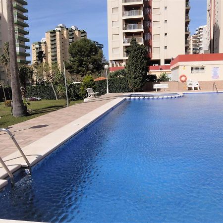 Don Ximo Gandia - Alquiler Solo Familias Apartman Playa de Gandia Kültér fotó