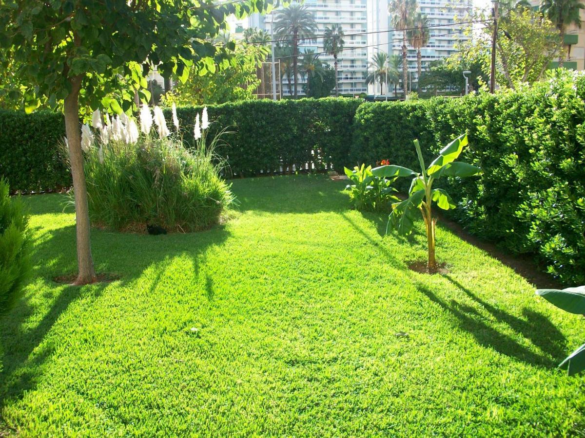 Don Ximo Gandia - Alquiler Solo Familias Apartman Playa de Gandia Kültér fotó